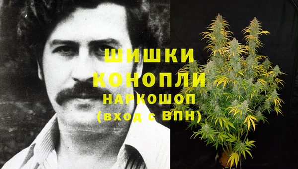 ECSTASY Медногорск