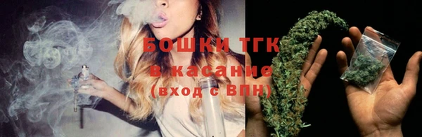 ECSTASY Медногорск