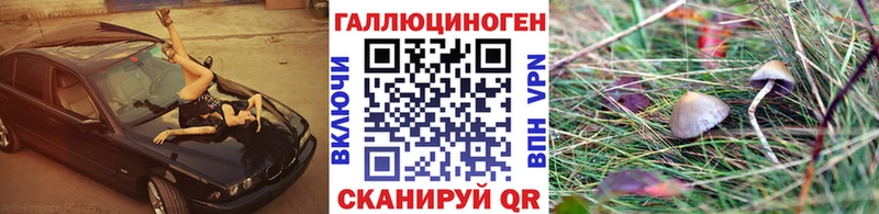 цены наркотик  mega ТОР  Галлюциногенные грибы GOLDEN TEACHER  Новая Ляля 